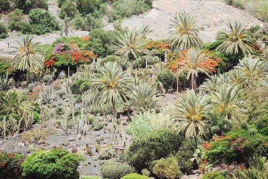 Jardín Botánico