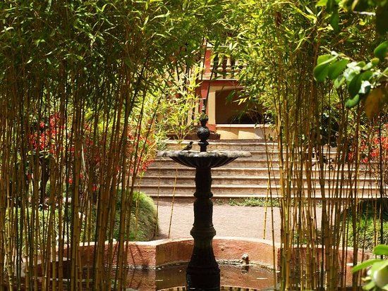 Finca de Osorio