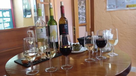 Casa Museo del Vino