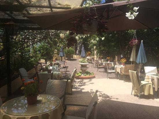 Cafe Orquidea