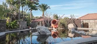 Cactualdea