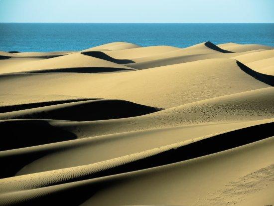 la Reserva Natural Especial de Las Dunas de Maspalomas