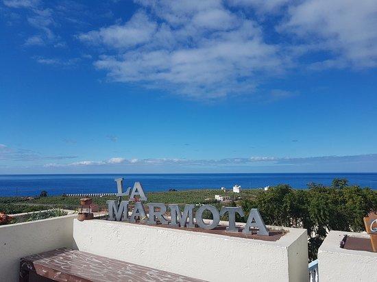 Bistro Marmota
