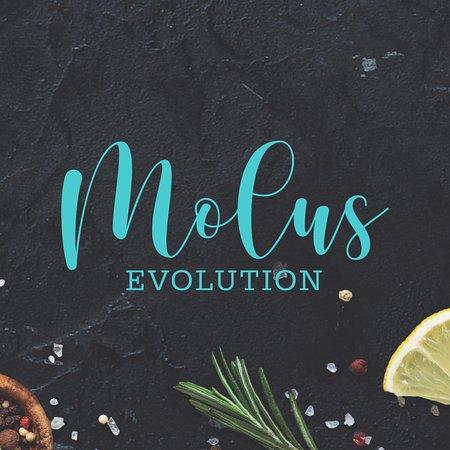 Molus Evolution Restaurante