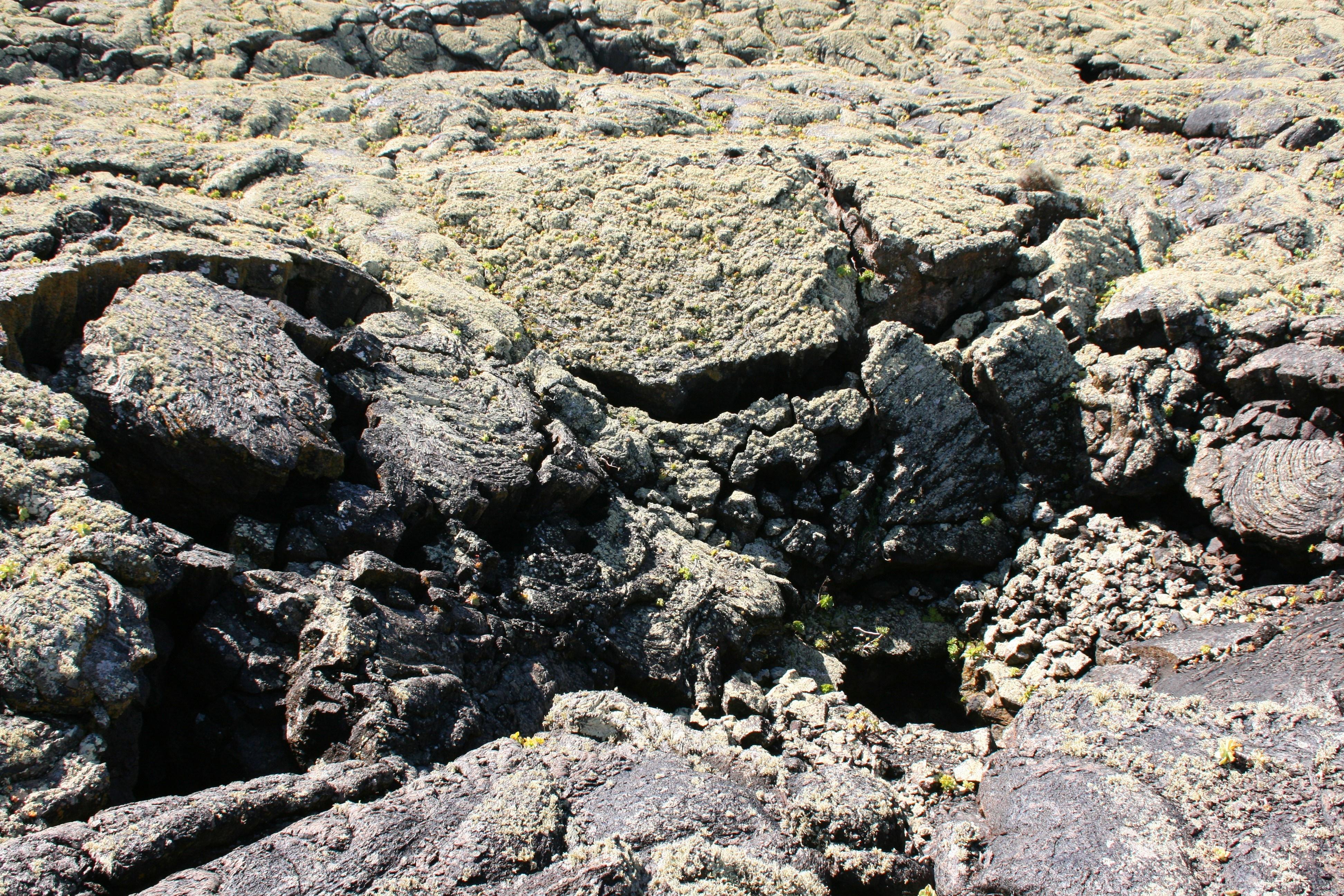 Cueva de los naturalistas