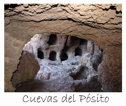 CanEducAm - Patrimonio y Sostenibilidad
