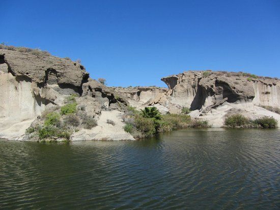 la Reserva Ambiental