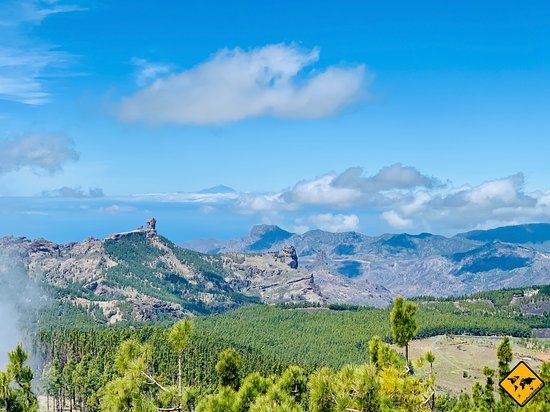 Pico de las Nieves