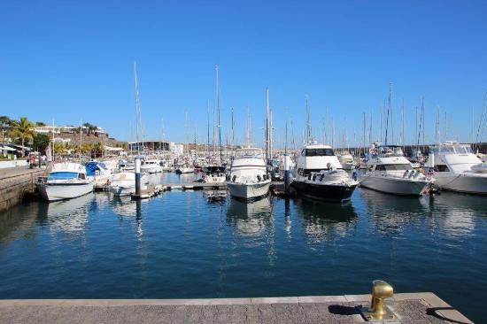 el puerto deportivo de Puerto Calero