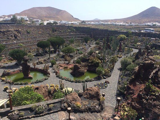 Jardín de Cactus de Lanzarote