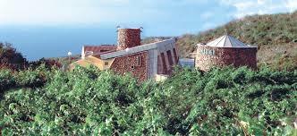 Bodegas Viñátigo
