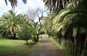 Parque Hamilton